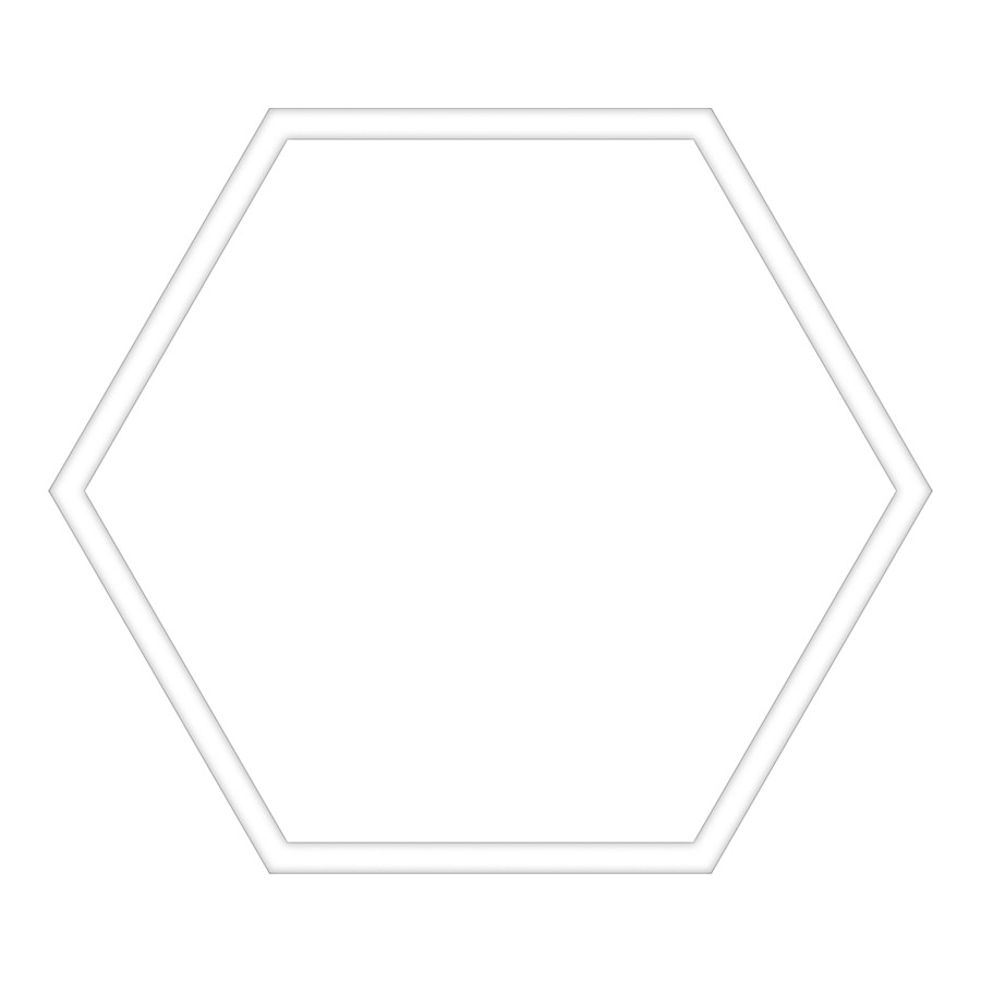 white hexagon shape