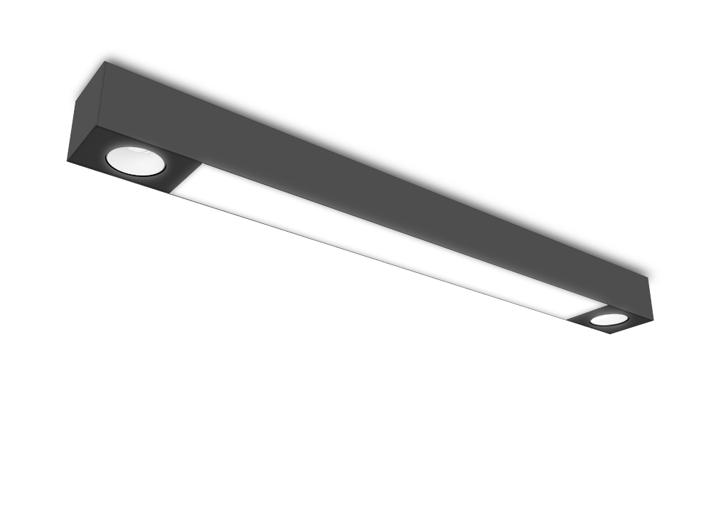 Black surface mount fixture with 2 spots on beginning and end and lens in the middle