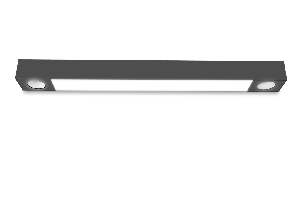 Black wall mount fixture with 2 spots on beginning and end and lens in the middle