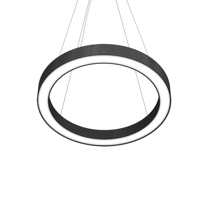 pendant ring style fixture with black metal texture